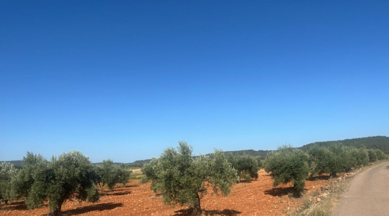 Castellon - les Useres - 9360m2