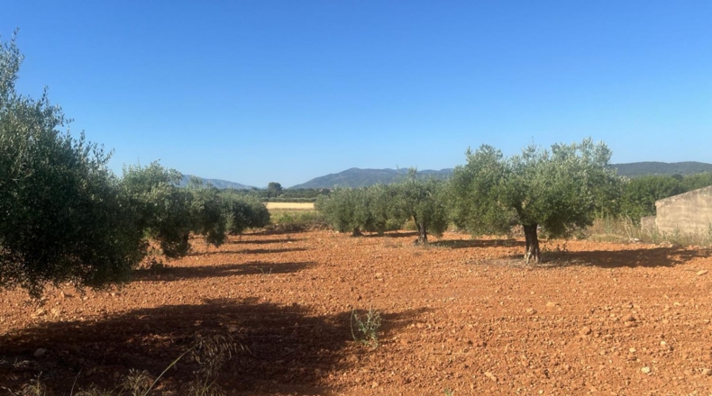 Castellon - les Useres - 9360m2