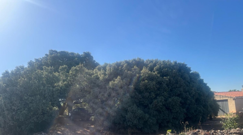 Castellon - les Useres - 9360m2
