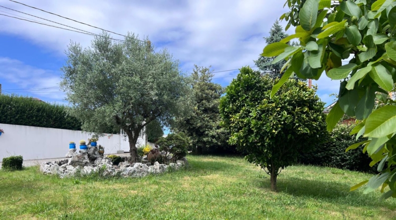 Asturias - Coaña - 1300m2