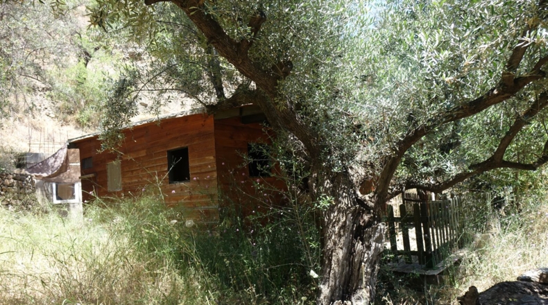 Granada - Torvizcón - 28000m2