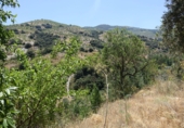 Finca rústica en venda a Torvizcón ref.: TR417460 foto