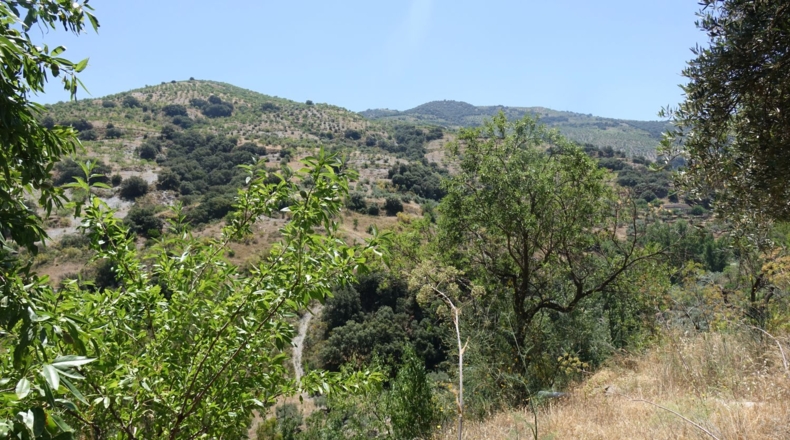 Granada - Torvizcón - 28000m2
