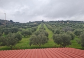 Finca rústica en venta en Antequera ref: TR64978 foto