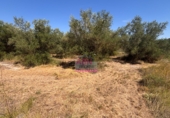 Terreno no urbanizable en venta en Albaida ref: TR64715 foto