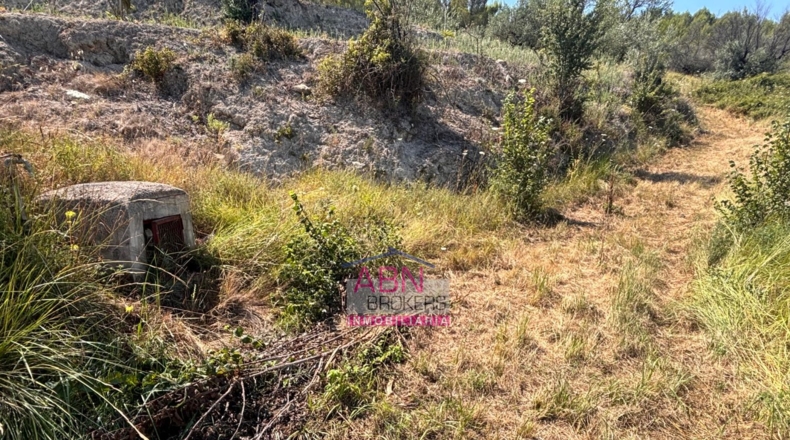 Valencia - Adzaneta de Albaida - 10873m2
