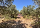 Terreno no urbanizable en venta en Albaida ref: TR64715 foto