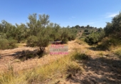 Terreno no urbanizable en venta en Albaida ref: TR64715 foto