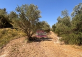 Terreno no urbanizable en venta en Albaida ref: TR64715 foto
