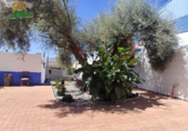 Finca rústica en venda a la España, Dúrcal, ref.: TR305103 foto