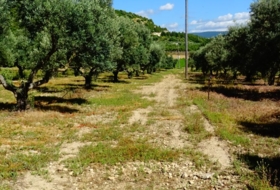 Arcos de la Frontera 8000&nbsp;m²