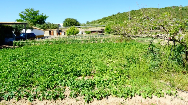 Cádiz - Arcos de la Frontera - 8000m2