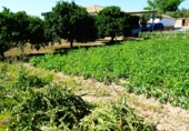 Finca rústica en venta en Arcos de la Frontera ref: TR417473 foto