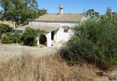 Finca rústica en venta en Arcos de la Frontera ref: TR417474 foto
