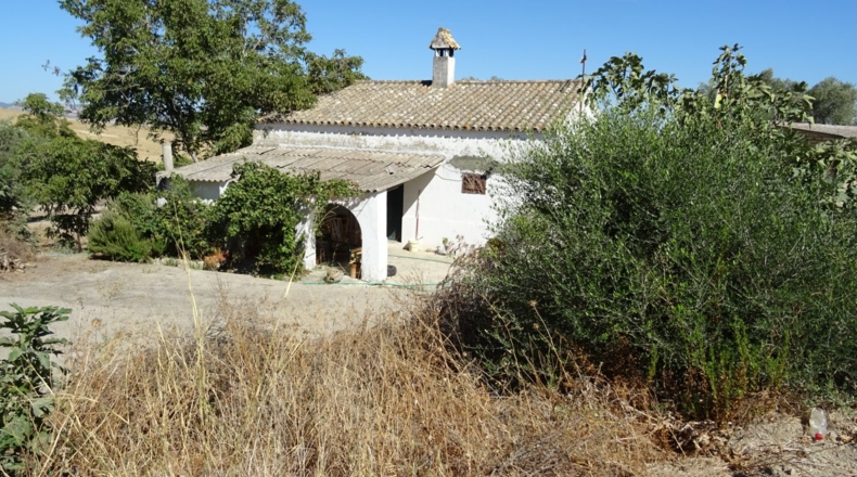 Cádiz - Arcos de la Frontera - 17000m2