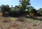 Finca rústica en venta en Arcos de la Frontera ref: TR417474 foto