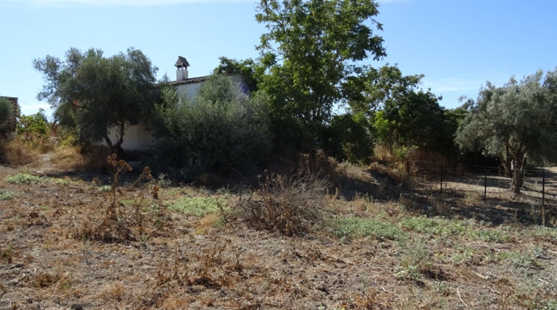 Cádiz - Arcos de la Frontera - 17000m2
