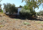 Finca rústica en venta en Arcos de la Frontera ref: TR417474 foto
