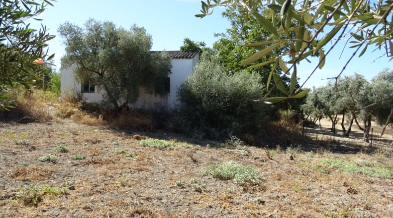 Cádiz - Arcos de la Frontera - 17000m2