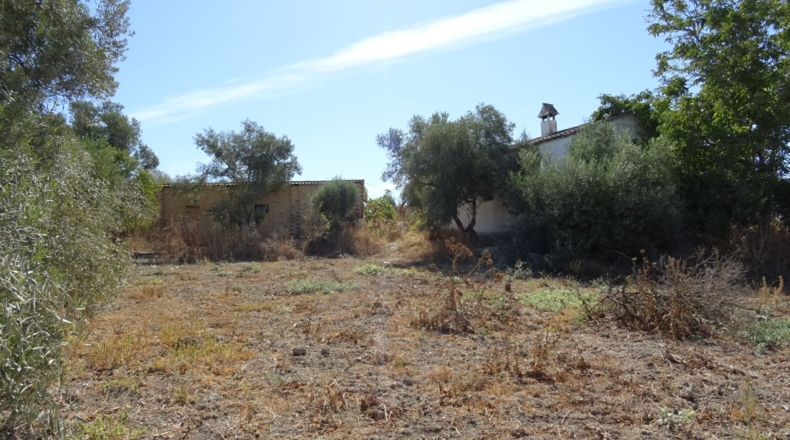 Cádiz - Arcos de la Frontera - 17000m2