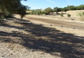 Finca rústica en venta en Arcos de la Frontera ref: TR417474 foto