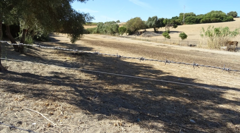 Cádiz - Arcos de la Frontera - 17000m2