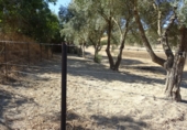 Finca rústica en venta en Arcos de la Frontera ref: TR417474 foto