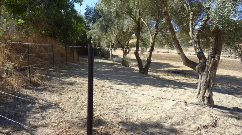 Cádiz - Arcos de la Frontera - 17000m2