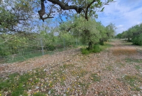 Mont-roig del Camp 7594&nbsp;m²