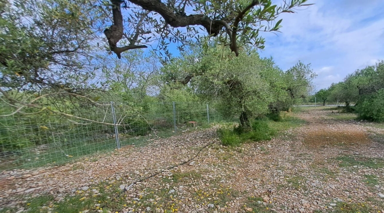 Tarragona - Mont-roig del Camp - 7594m2