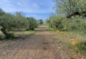 Terreno no urbanizable en venta en Mont-roig del Camp ref: TR417475 foto