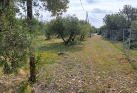 Mont-roig del Camp 7594&nbsp;m²