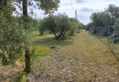 Terreno no urbanizable en venta en Mont-roig del Camp ref: TR417475 foto