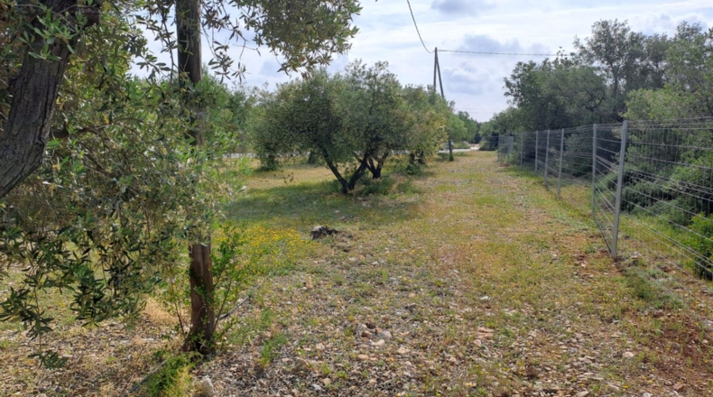 Tarragona - Mont-roig del Camp - 7594m2