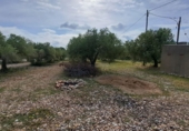Terreno no urbanizable en venta en Mont-roig del Camp ref: TR417475 foto