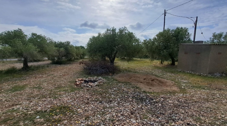 Tarragona - Mont-roig del Camp - 7594m2