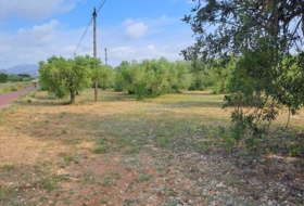Mont-roig del Camp 7594&nbsp;m²