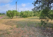Terreno no urbanizable en venta en Mont-roig del Camp ref: TR417475 foto