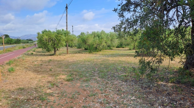 Tarragona - Mont-roig del Camp - 7594m2