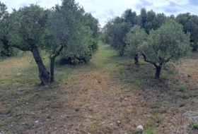 Mont-roig del Camp 7594&nbsp;m²