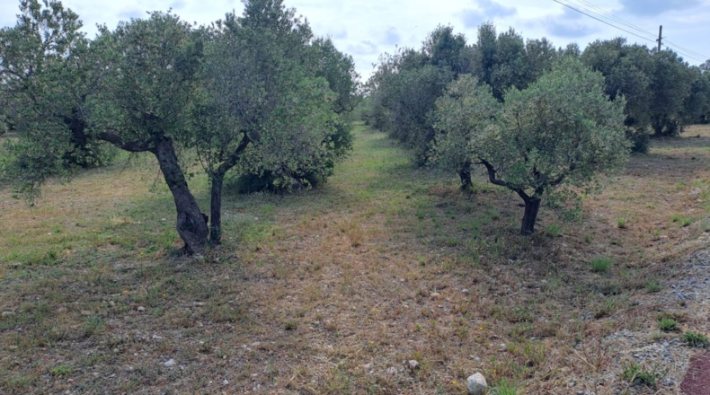 Tarragona - Mont-roig del Camp - 7594m2