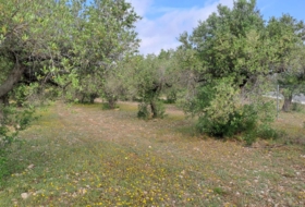 Mont-roig del Camp 7594&nbsp;m²