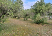 Terreno no urbanizable en venta en Mont-roig del Camp ref: TR417475 foto