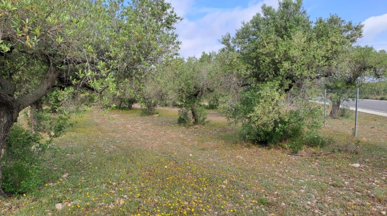 Tarragona - Mont-roig del Camp - 7594m2