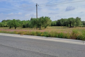 Mont-roig del Camp 7594&nbsp;m²