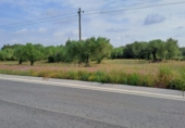 Terreno no urbanizable en venta en Mont-roig del Camp ref: TR417475 foto