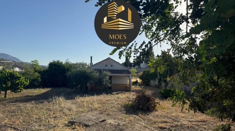 Малага - Tolox - 960m2