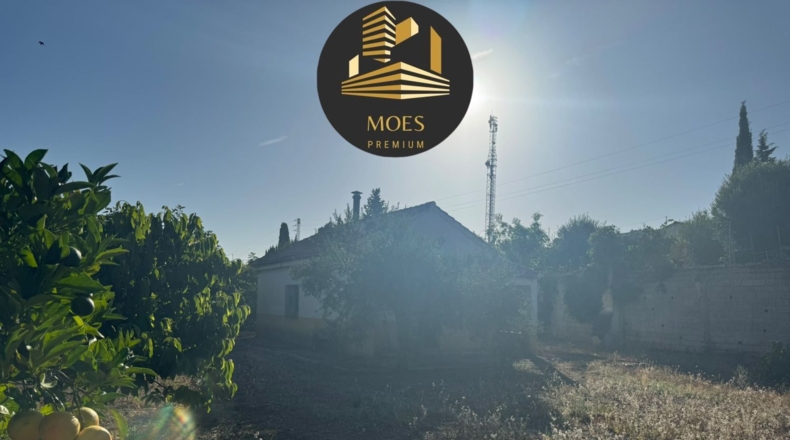 Малага - Tolox - 960m2