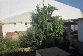 Azuaga 248&nbsp;m²