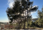 Parcela urbanizable en venta en Tarragona ref: TR417487 foto